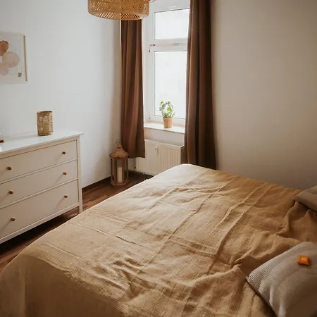 Kulturspot Zentrum Neu Netflix Chemnitz